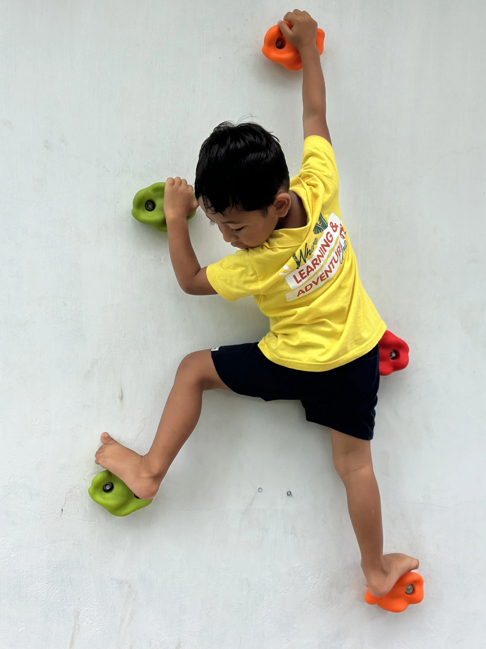 Sunny Kids Moment 88